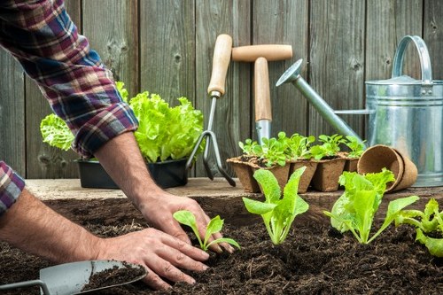 Gardener at work in a park setting