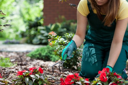Community members participating in a gardening event at Regents Park.