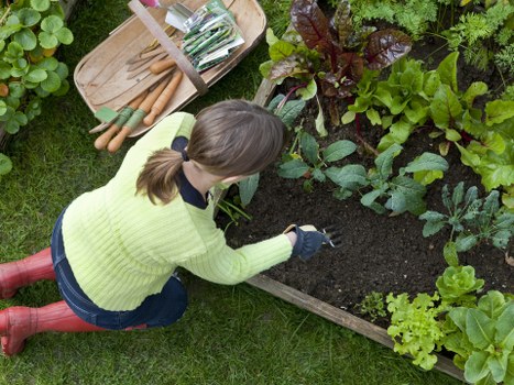 First aid kit and PPE laid out for an insured gardening crew