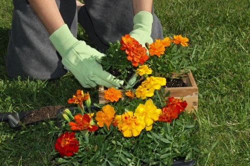 Seasonal planting in Regents Park